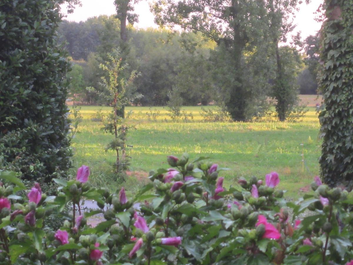 Chavagne Domaine De La Fontaine B&B 외부 사진